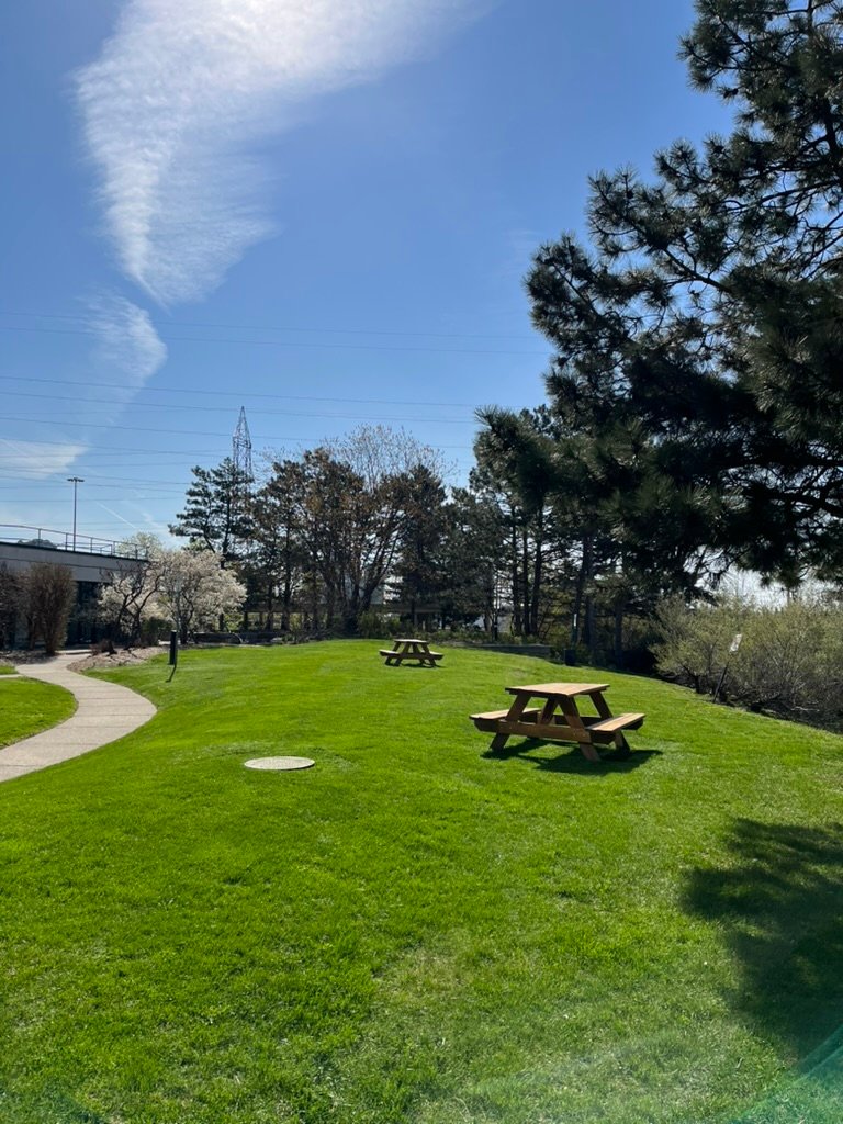 Commercial campus grounds site improvement