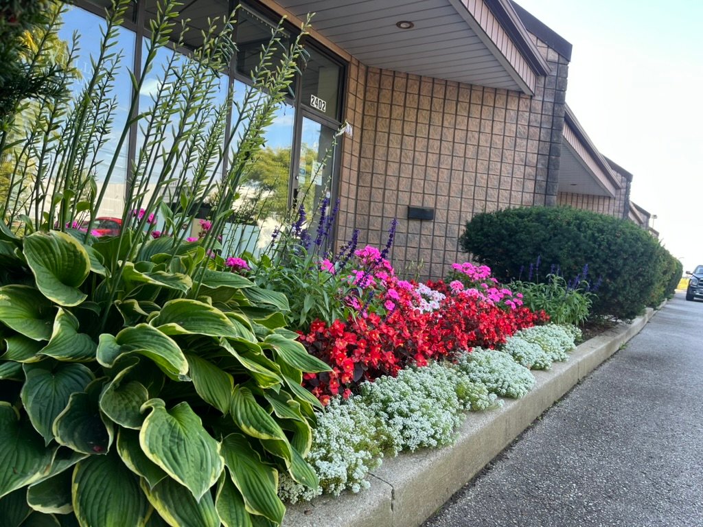 Commercial flower bed cleanup